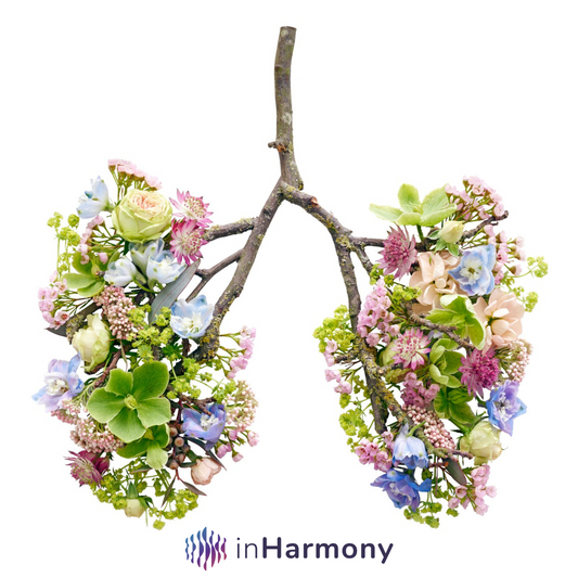 Breathwork 101