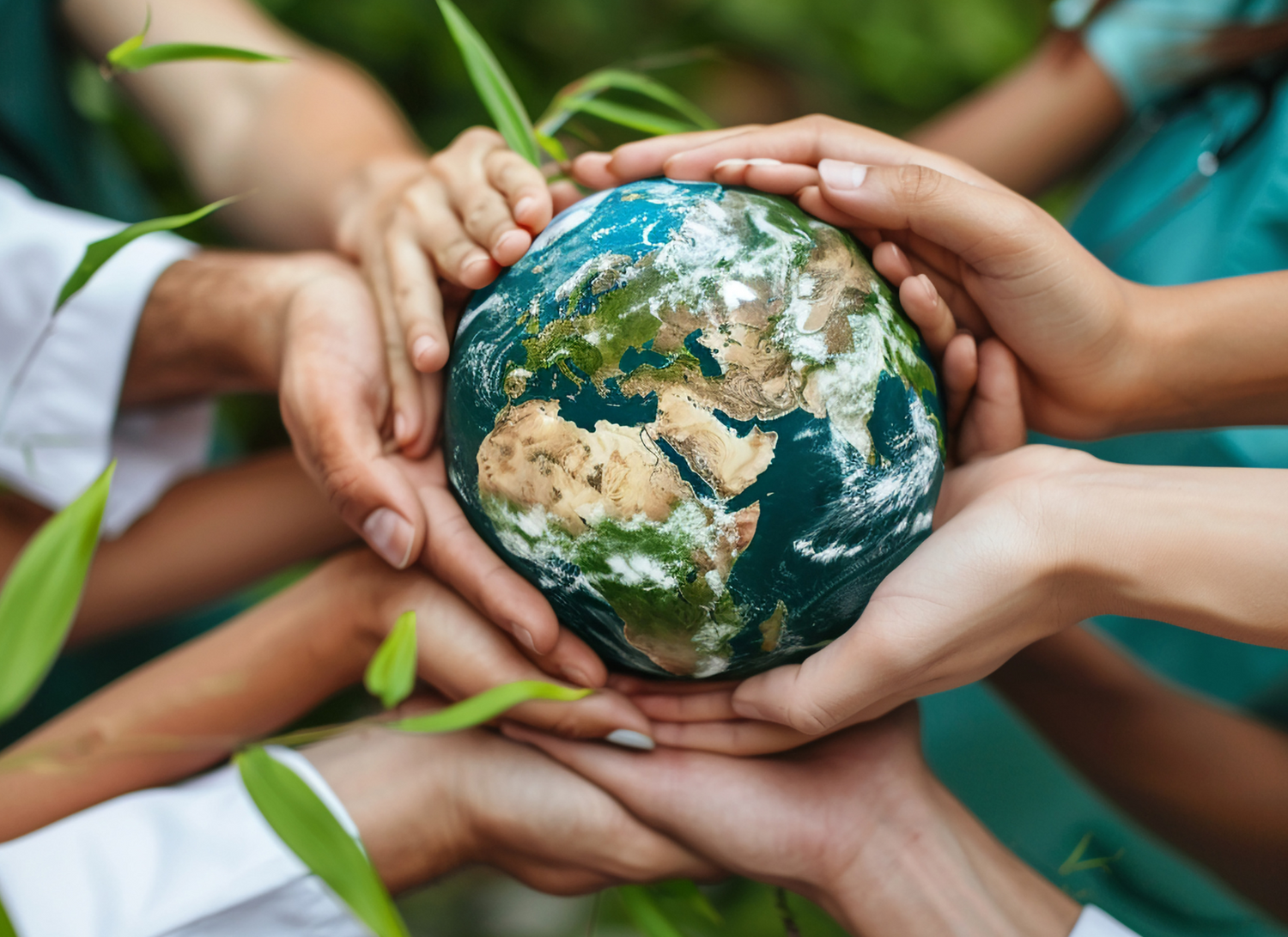 Global Wellness Day: A Celebration of Conscious Living