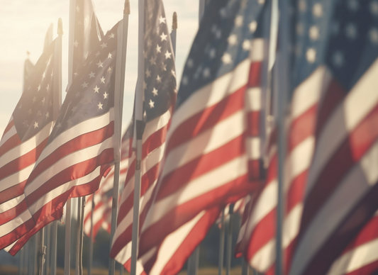 Support Veteran Wellness with inHarmony Vibrational Technology