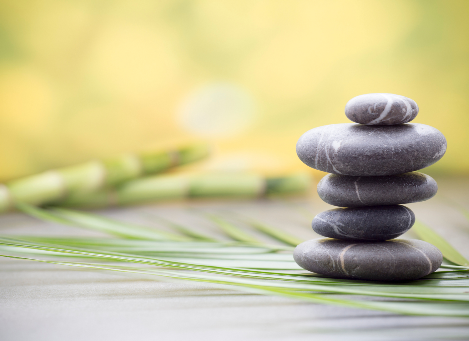 Small Moments, Big Impact: Honoring National Wellness Month
