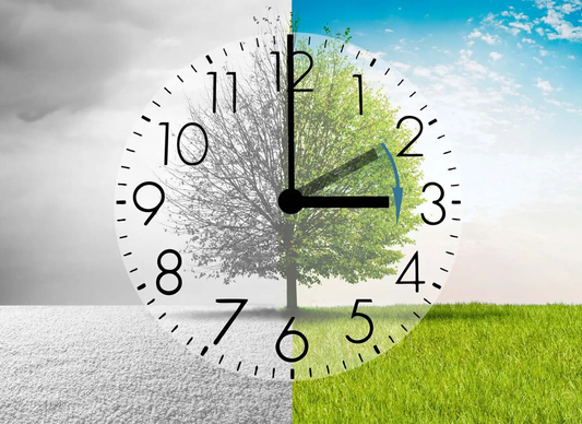 Transition and Balance During the Spring Equinox and Daylight Saving Time