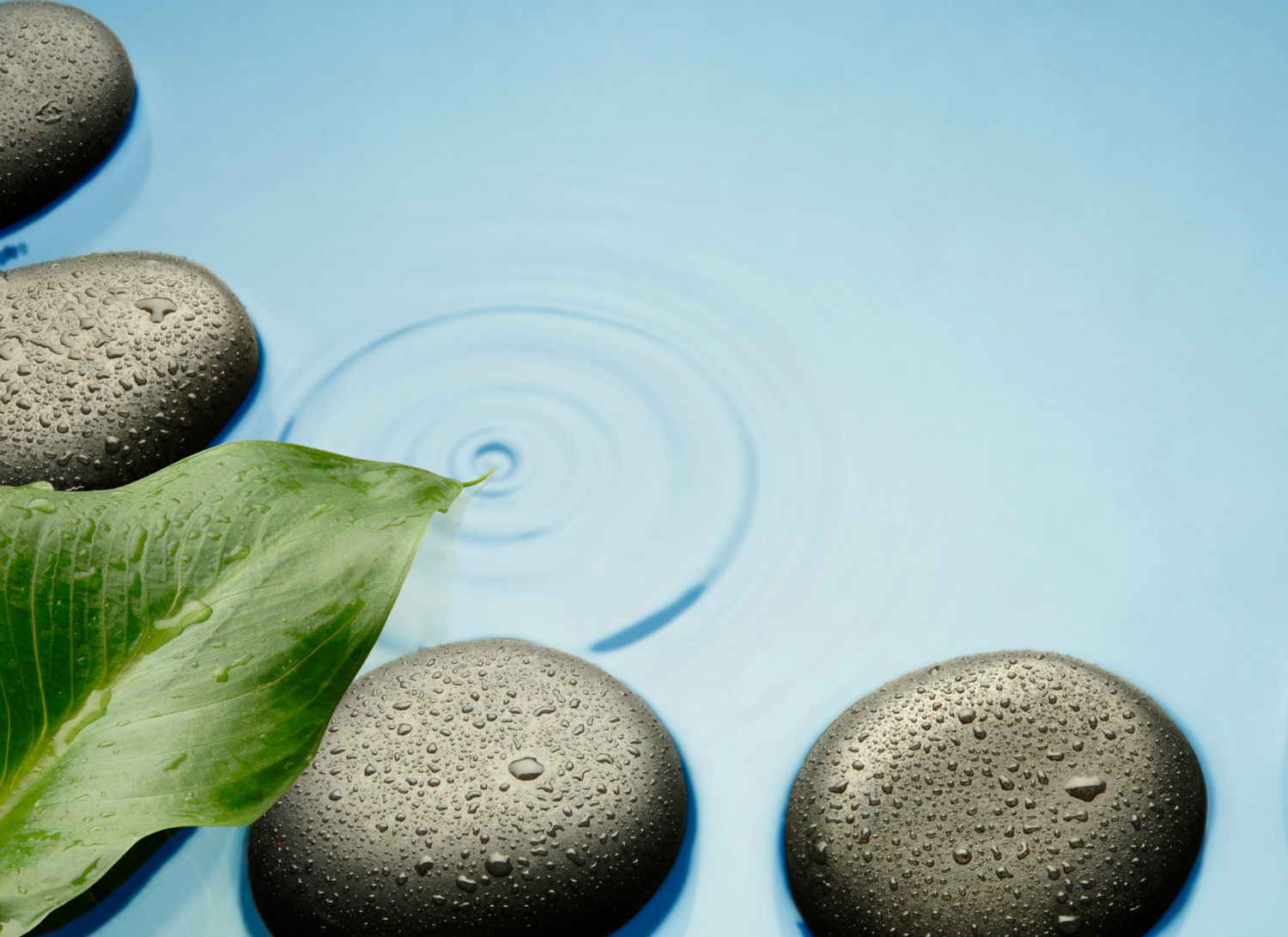 Intentional Relaxation with inHarmony