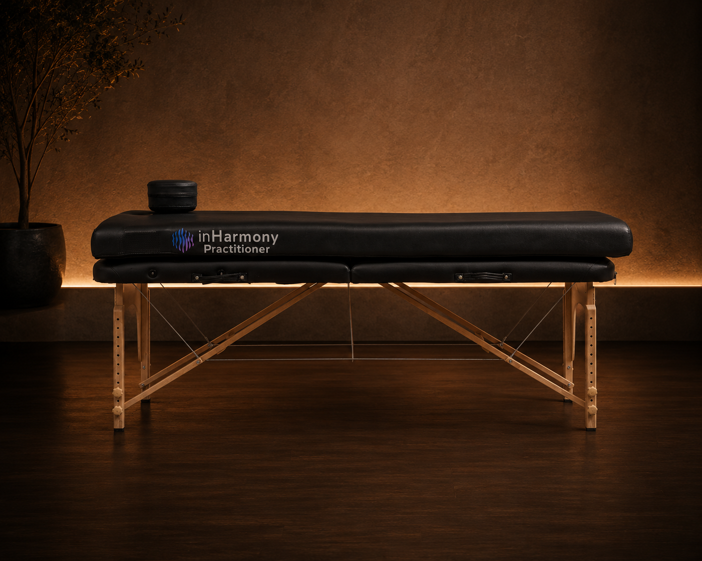 inHarmony Practitioner 2